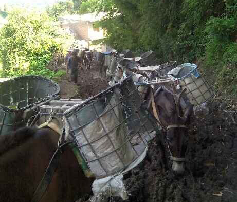 澄海区马帮搬运