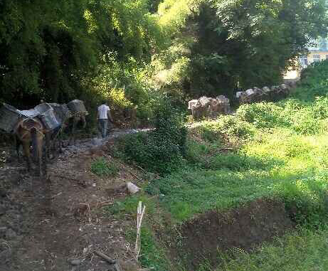 澄海区马帮运输队