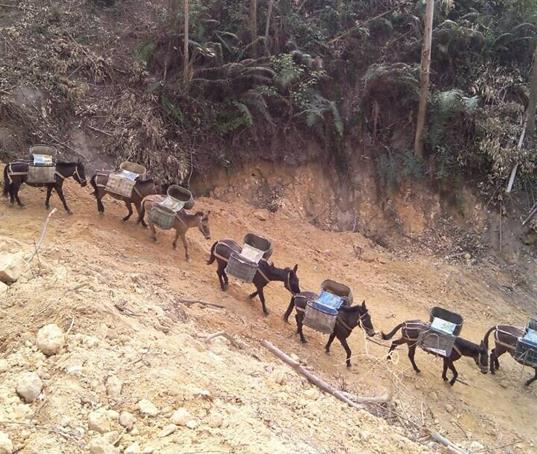 澄海区山路马帮运输