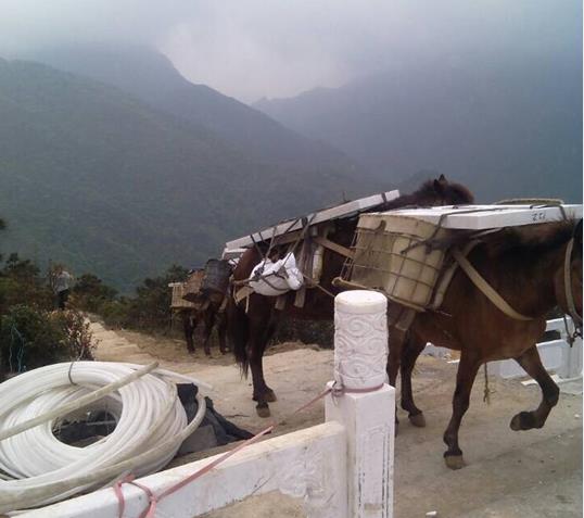澄海区山区马帮运输