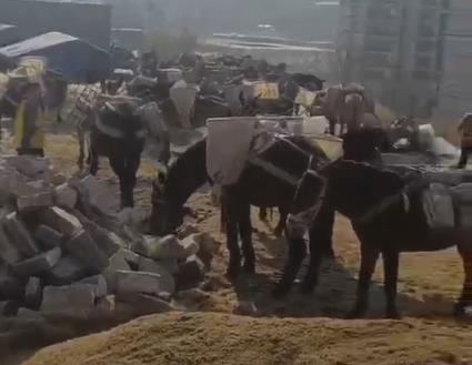 澄海区马队山路运输