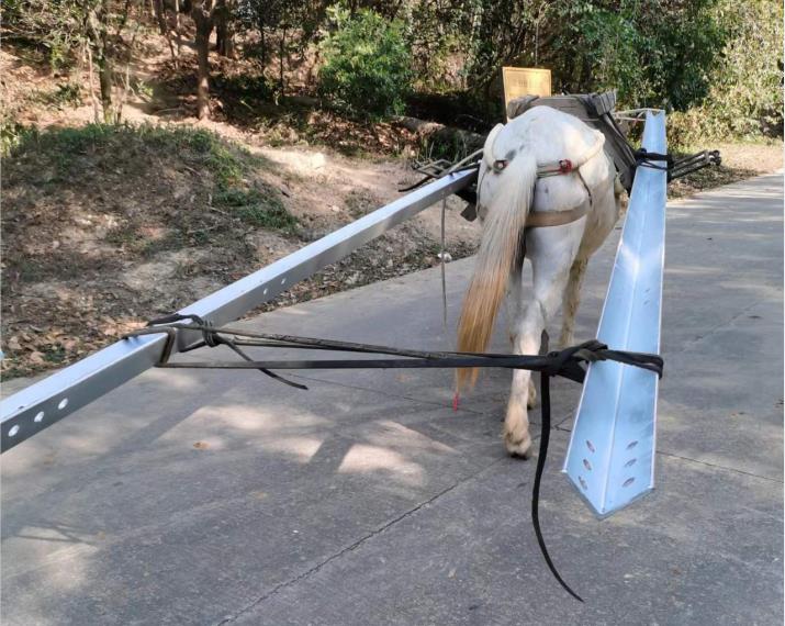 澄海区马队搬运