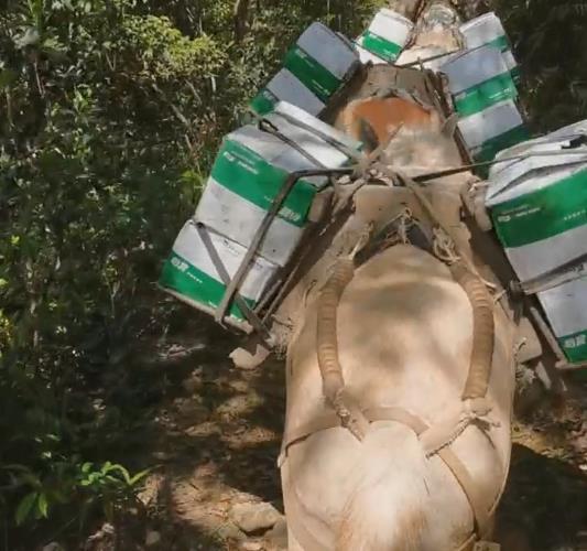 澄海区骡马山路运输