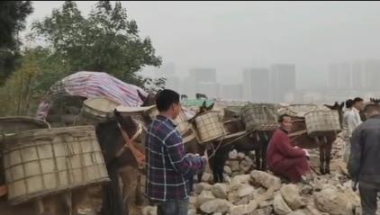 澄海区骡马山区运输