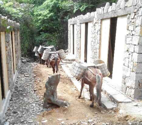 澄海区马队运输队