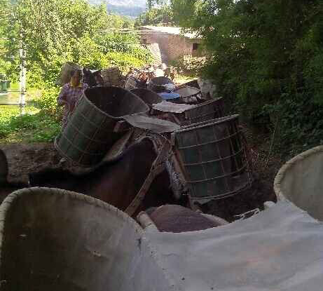 澄海区骡马运输